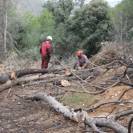 Medidas preventivas para reducir el riesgo de incendio en los montes gestionados por la CHG