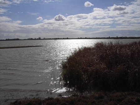 Fase VII de la mejora del saneamiento en el entorno de Doñana