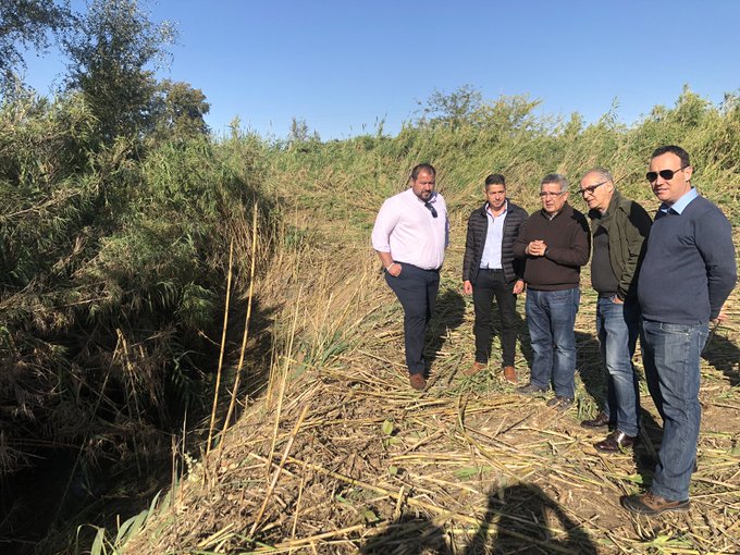 Actuaciones de conservación en los arroyos Cascajo y Bodegón de Brenes (Sevilla)