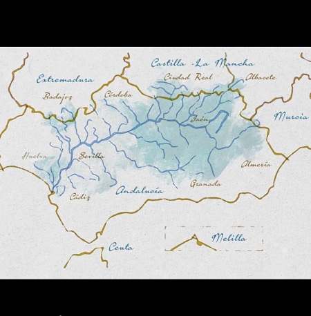 Video disponible a través del canal de la CHG en YouTube.