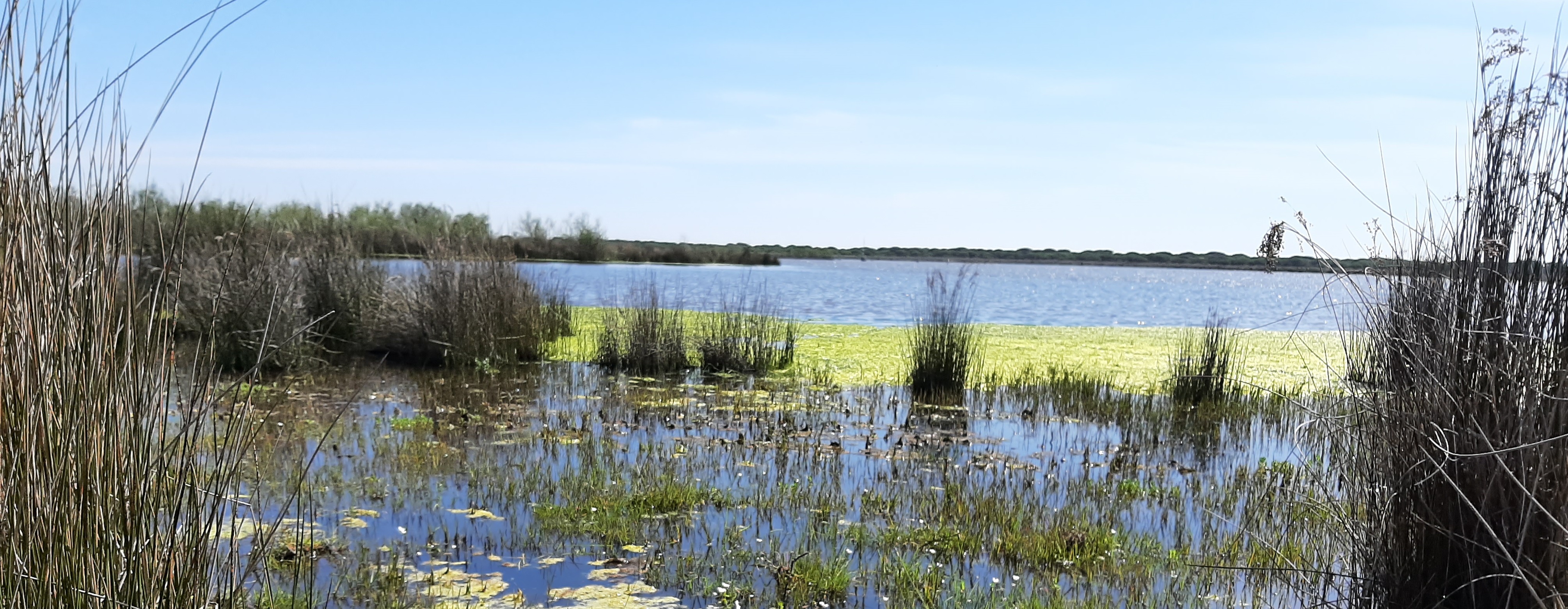 Imagen principal de la pagina