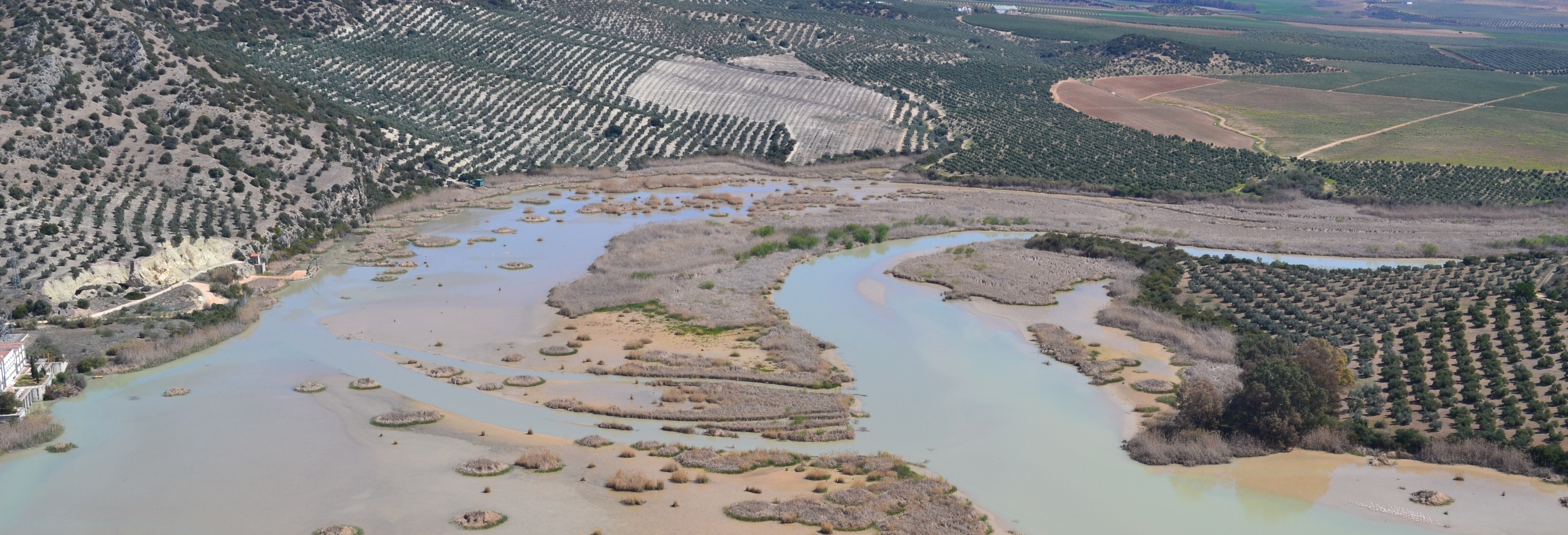 Imagen principal de la pagina