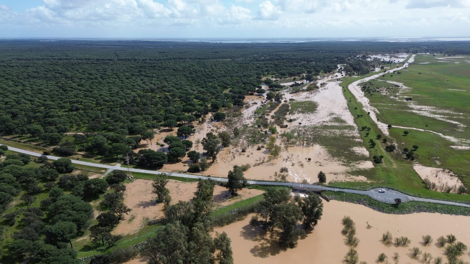 Nuevos proyectos de restauración fluvial en Doñana