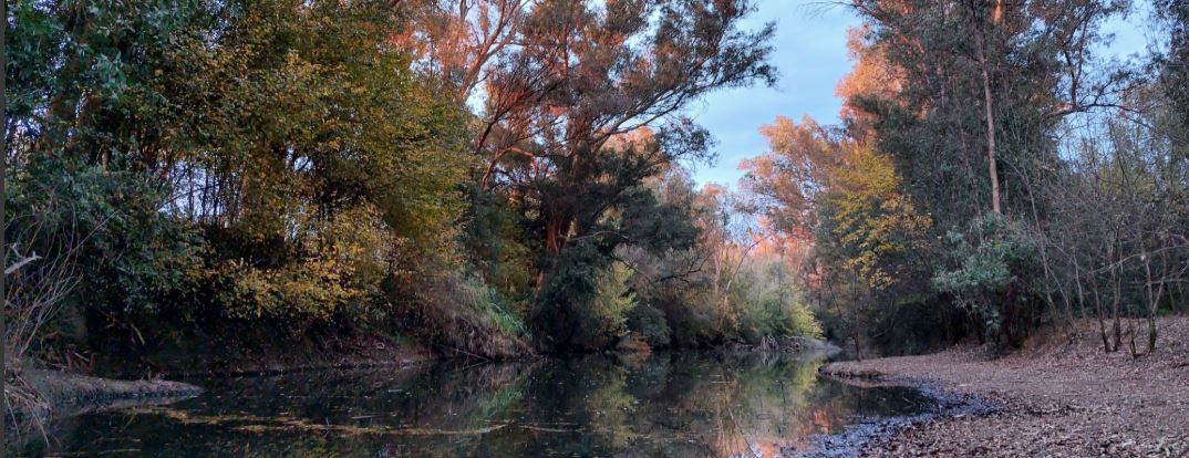 Imagen principal de la pagina