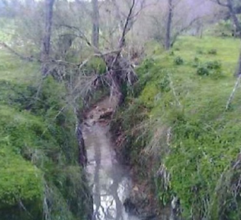 Cauce del arroyo La Muela, a su paso por El Viso del Alcor