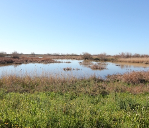 Parque Nacional de Doñana