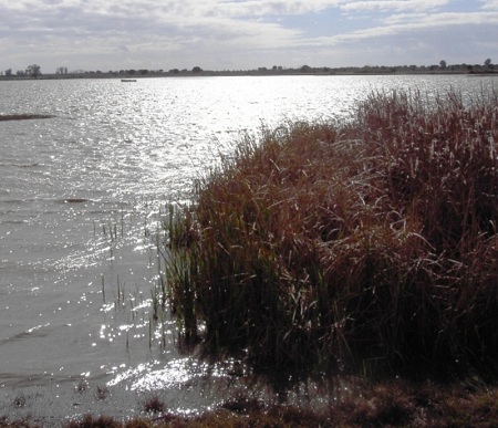 Fase VII de la mejora del saneamiento en el entorno de Doñana