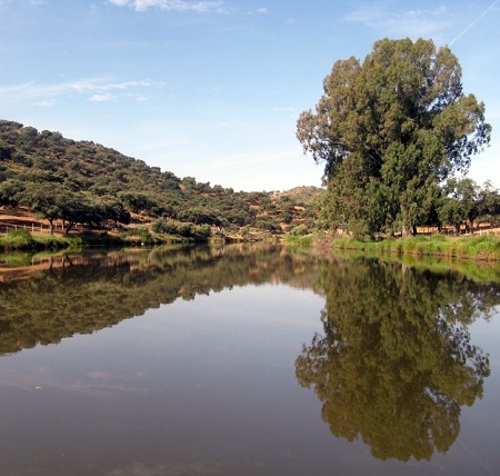 Se ejecutará un nuevo colector hasta el río Guadiamar