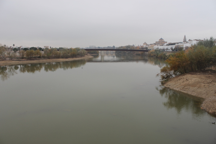 Limpieza del Guadalquivir a su paso por Córdoba